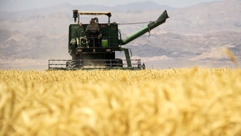 کشاورزان ایرانی بجای کشت گندم به تولید بیت‌کوین روی آوردند!