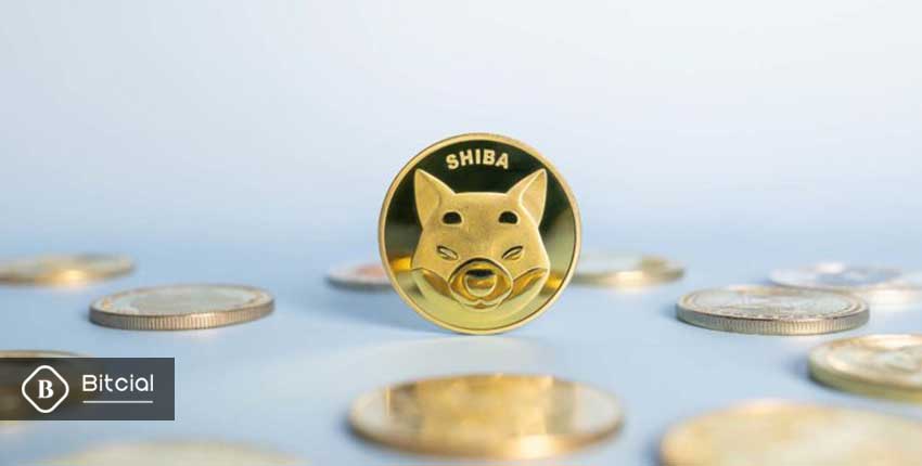 آینده بازار ارز شیبا - shiba inu