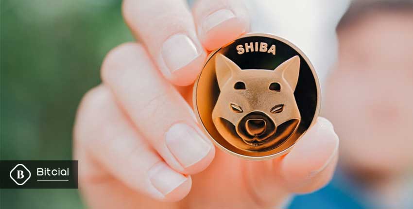 ویژگی‌های ارز shiba چیست؟