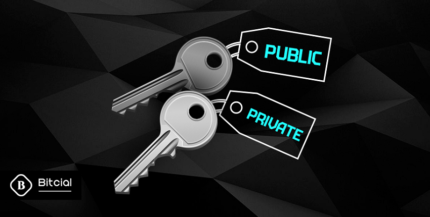 کلید عمومی و خصوصی