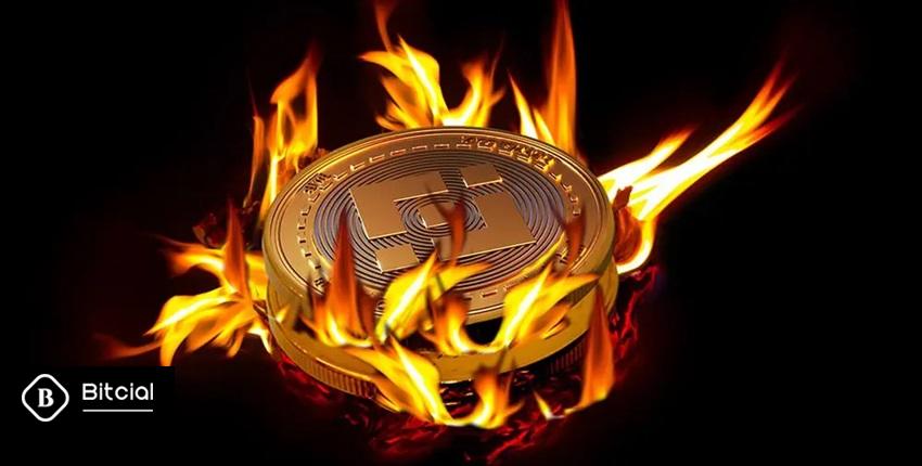 token burning ارز دیجیتال