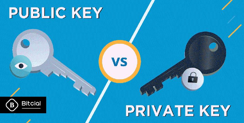 کلید عمومی و کلید خصوصی چیست؟