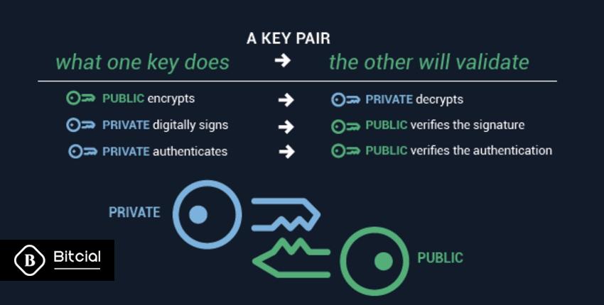 چگونه از کلیدهای خصوصی خود محافظت کنیم؟